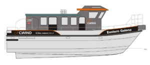 Image of Eastern Galene